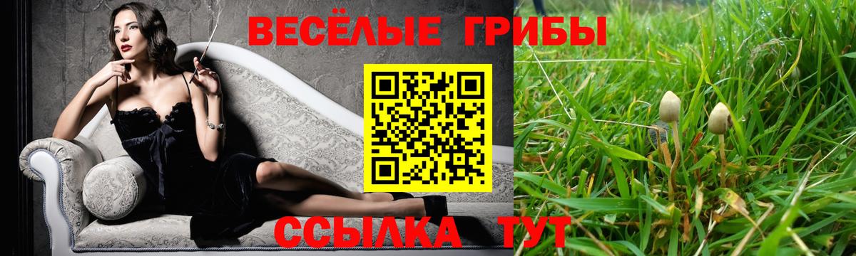 Нягань  Псилоцибиновые грибы прущие грибы  Вход с VPN 